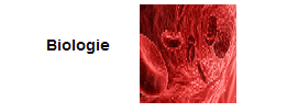 biologie1